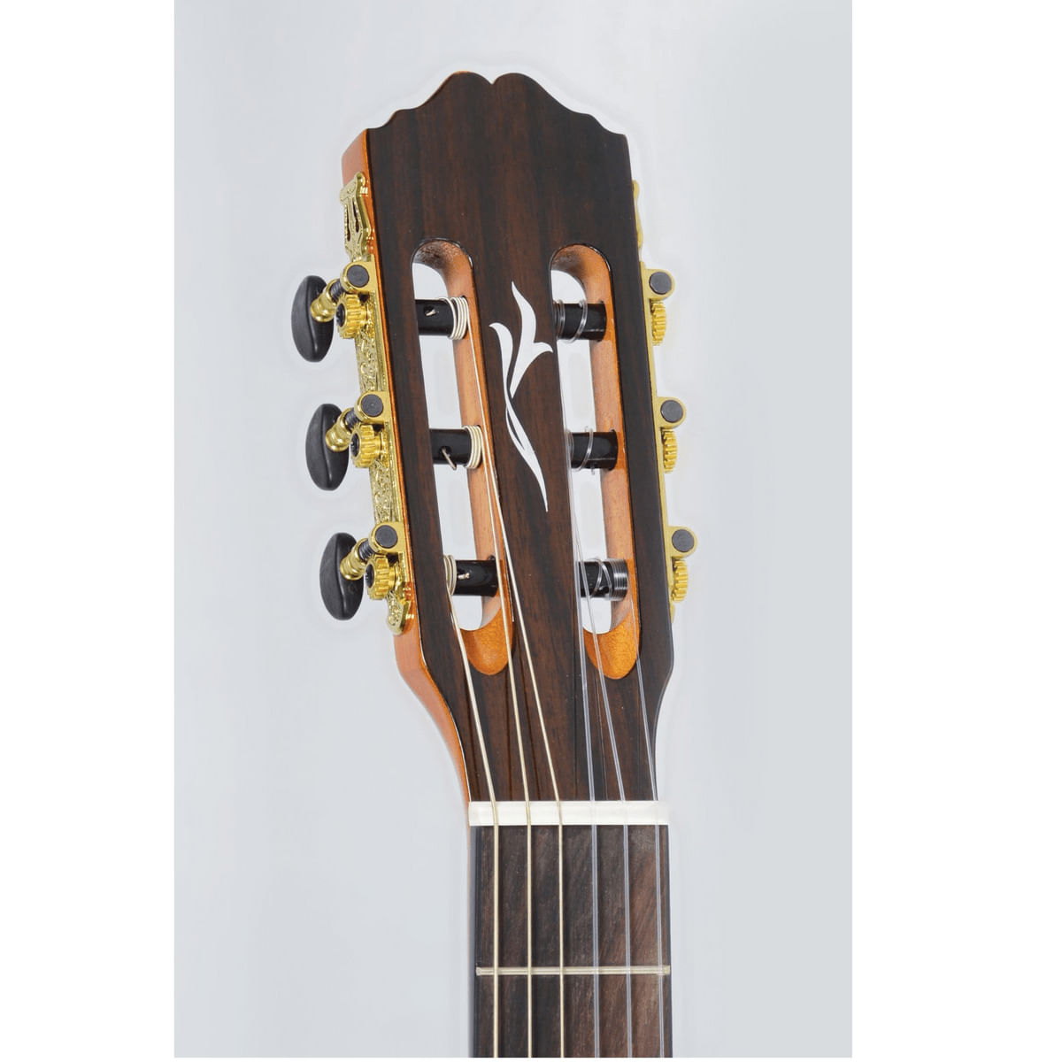 Violao-Eletroacustico-Classico-SC-35C-N----Strinberg-2 Violao-Eletroacustico-Classico-SC-35C-N----Strinberg-2