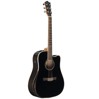 Violao-Eletroacustico-WS-25-EQ-BK---Tagima