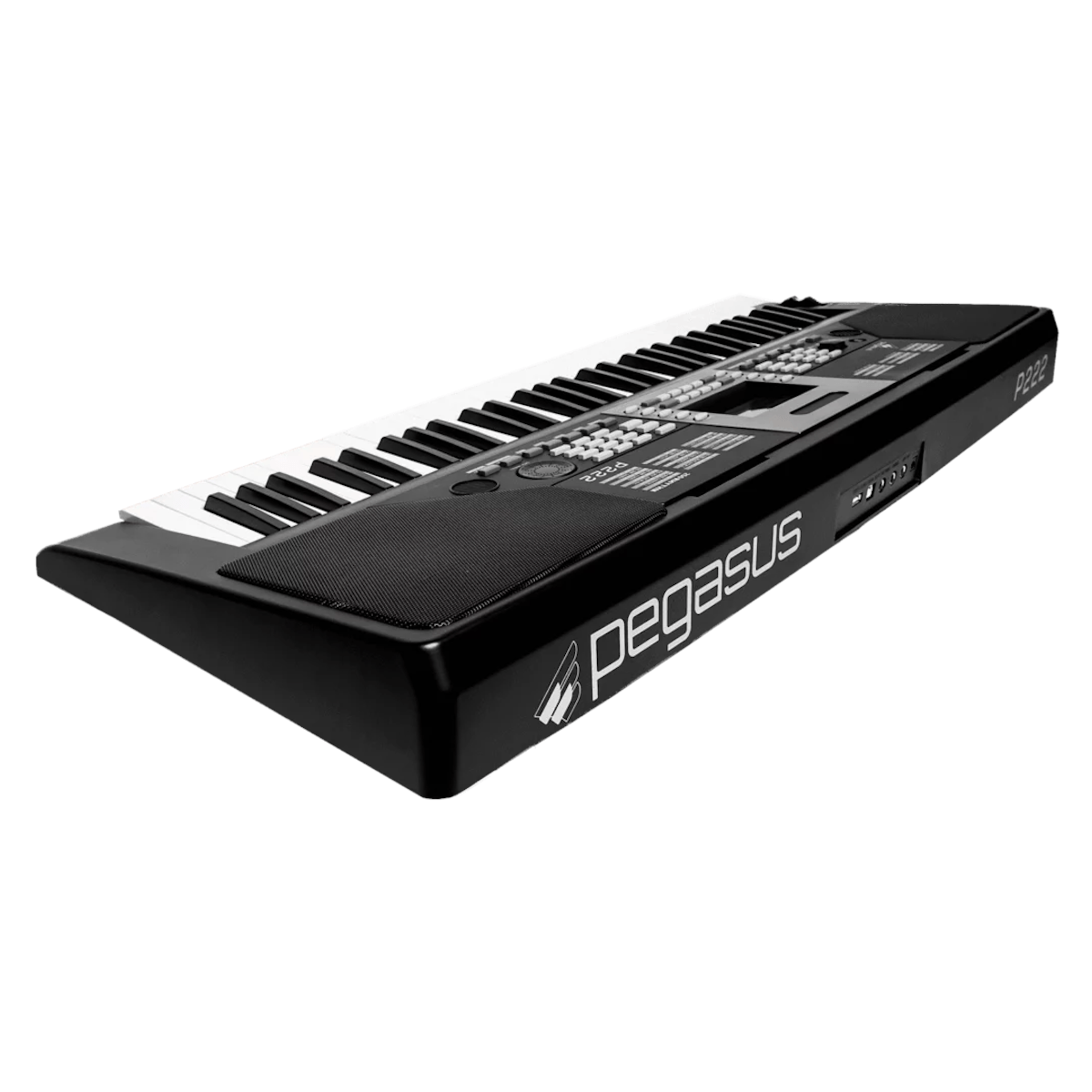 Teclado-Sintetizador-Eletrico-61-Teclas-Preto-P-222---Pegasus-1 Teclado-Sintetizador-Eletrico-61-Teclas-Preto-P-222---Pegasus-1