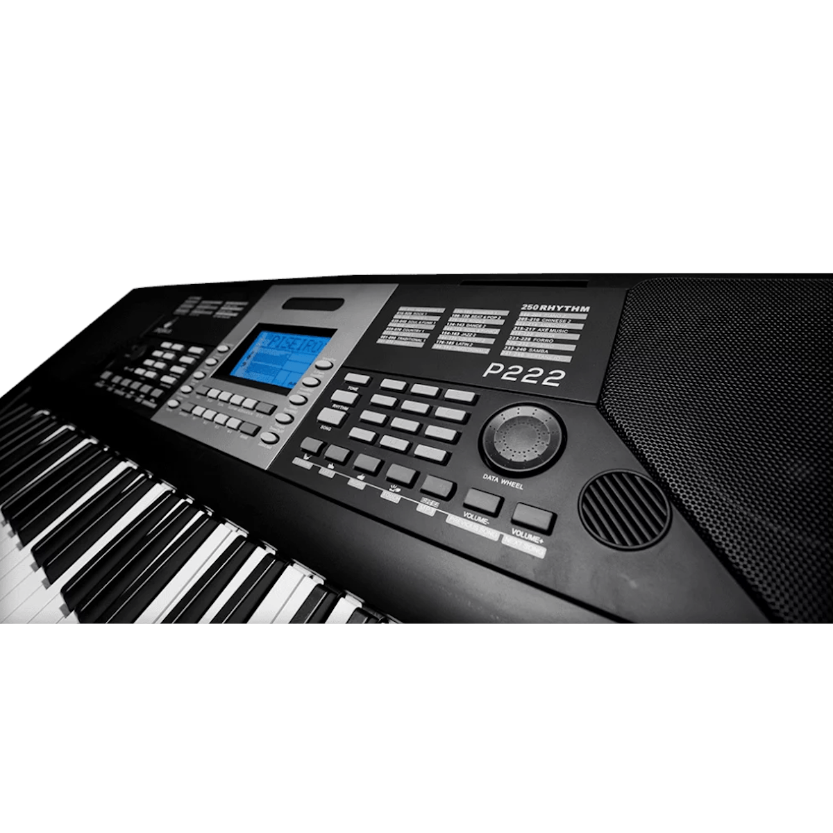 Teclado-Sintetizador-Eletrico-61-Teclas-Preto-P-222---Pegasus-4 Teclado-Sintetizador-Eletrico-61-Teclas-Preto-P-222---Pegasus-4