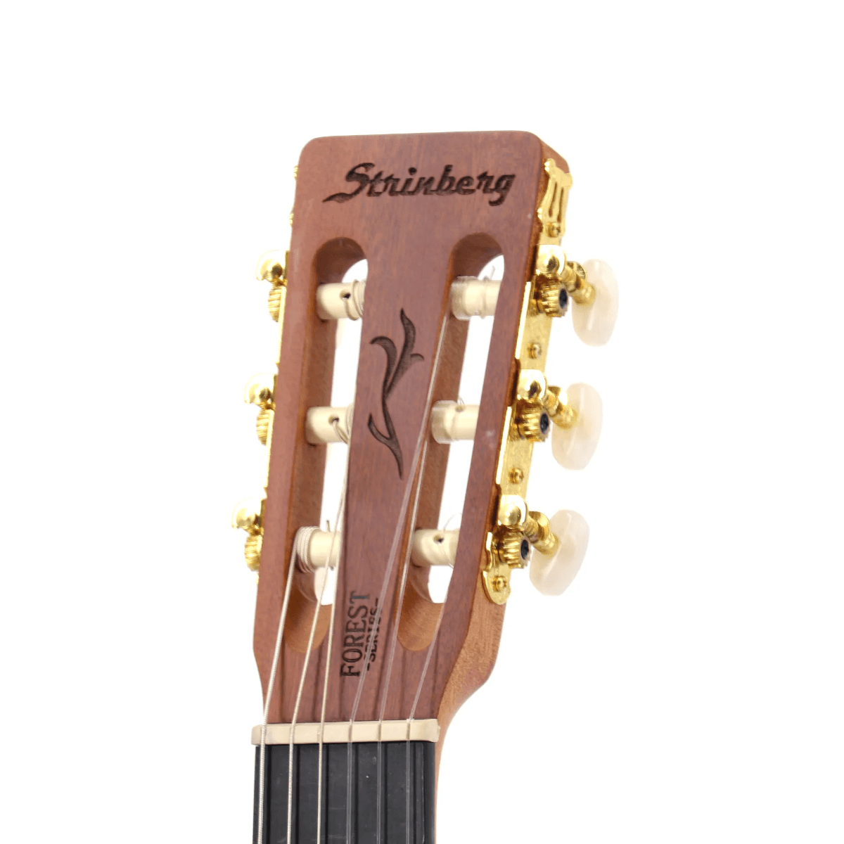 Violao-Eletroacustico-Nylon-Classico-Forest-FS-3C---Strinberg-3 Violao-Eletroacustico-Nylon-Classico-Forest-FS-3C---Strinberg-3