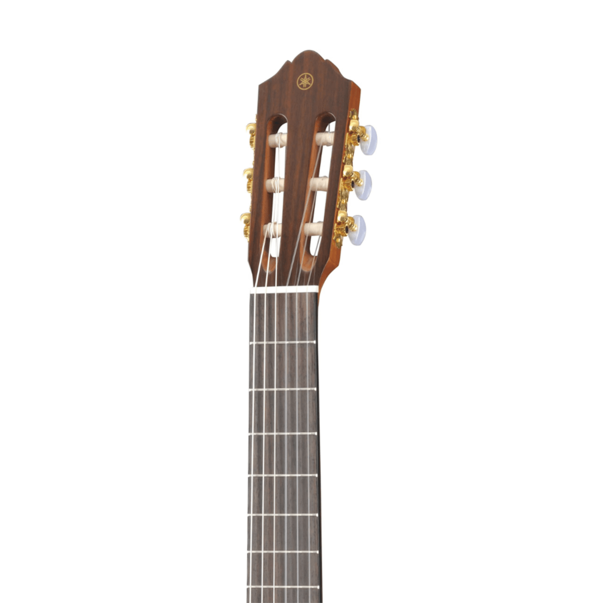 Violao-Acustico-Classico-Nylon-CG162C---Yamaha-2