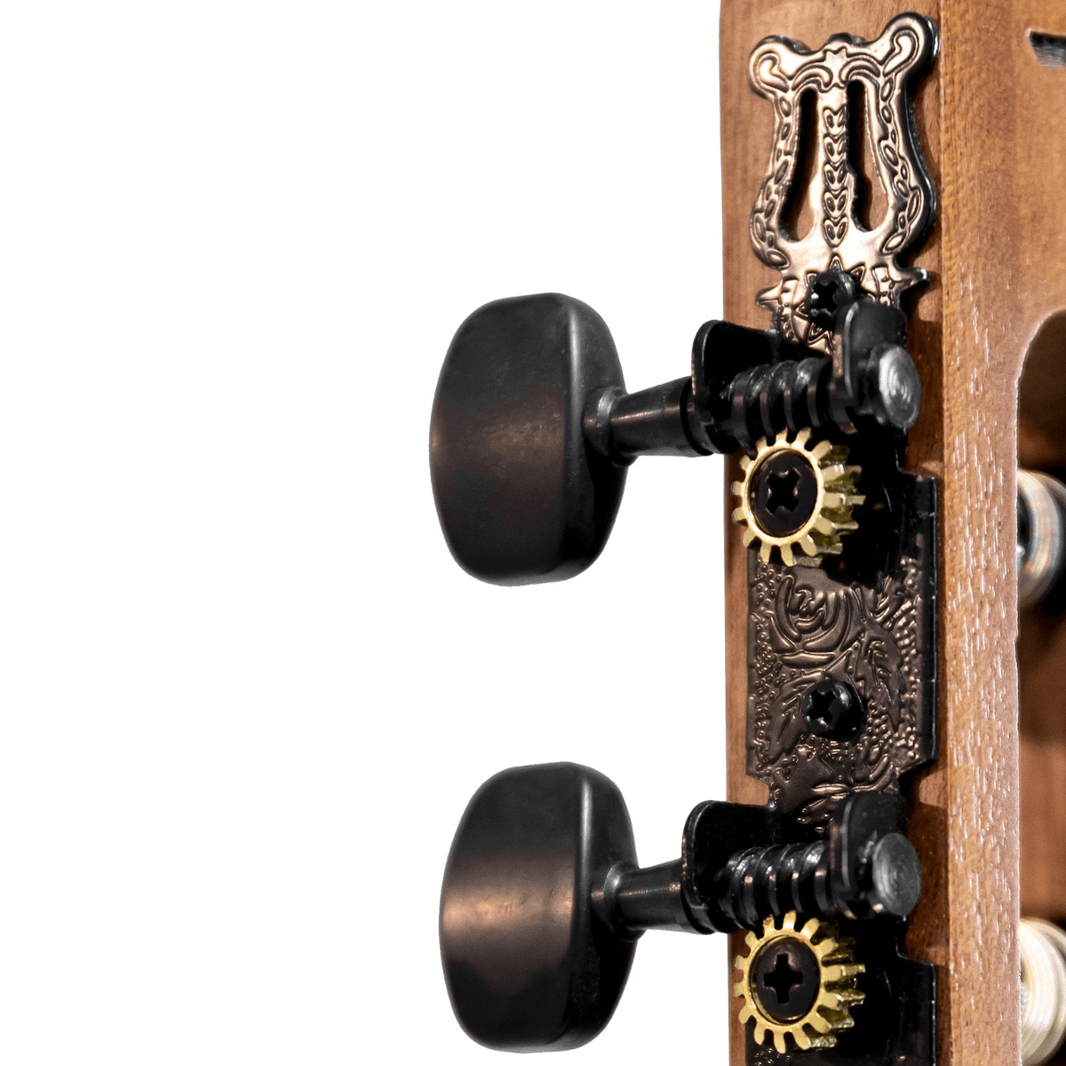 Violao-Nylon-Vegas-Gran-Reserva-Auditorium-NTOP---Tagima-3 Violao-Nylon-Vegas-Gran-Reserva-Auditorium-NTOP---Tagima-3